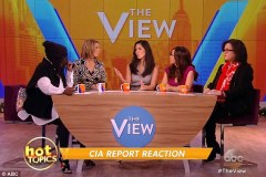 TheView12-11-2014