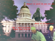 3403036160_26d042d3cb