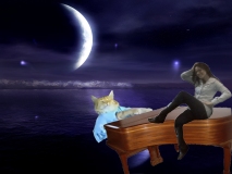 49136_Olivia_0_Keyboard_Cat_122_253lo