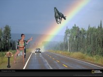 Olivia.Cake.Rainbow.Horse.1