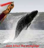 Oliviamunnonwhalehunt