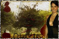 l_82307ec44aa78deeaf0528311766e85d