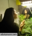 olivia-munn-weed-09