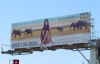 Peta Circus boycott billboard