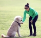 Olivia Munn seen playing with a cute dog she was heard calling