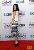 olivia-munn-peoples-choice-awards-2013-red-carpet-06