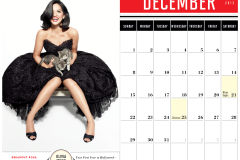 VanityFair2013Calendar