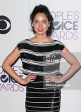 poses in the press room at the 2015 Peoples' Choice Awards at the Nokia Theatre L.A. Live on January 7, 2015 in Los Angeles, California.