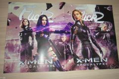 FlickzMagCoverChina2016