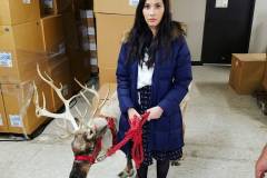 OfficeChristmasPartyBTSReindeer4-9-2016
