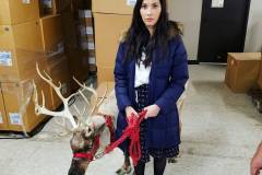 OfficeChristmasPartyBTSReindeer4-9-2016