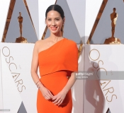 arrives at the 88th Annual Academy Awards at Hollywood & Highland Center on February 28, 2016 in Hollywood, California.