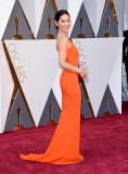 Olivia+Munn+88th+Annual+Academy+Awards+Arrivals+MxnVWUQgLIHl