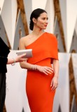 Olivia+Munn+88th+Annual+Academy+Awards+Red+SYbYtIbCDAdl