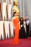 Olivia+Munn+88th+Annual+Academy+Awards+Red+n8xwJYM2pr5l