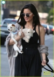 olivia-munn-walks-dogs-frankie-and-chance-on-sunset-boulevard-03