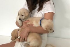 TiffPuppies9-8-2018