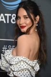 SANTA MONICA, CA - JANUARY 13:  Olivia Munn attends the 24th annual Critics' Choice Awards at Barker Hangar on January 13, 2019 in Santa Monica, California.  (Photo by Michael Kovac/WireImage)