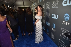 SANTA MONICA, CALIFORNIA - JANUARY 13: Olivia Munn at The 24th Annual Critics' Choice Awards at Barker Hangar on January 13, 2019 in Santa Monica, California. (Photo by Jeff Kravitz/FilmMagic)