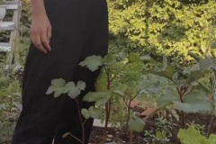 CarasGarden9-30-2020