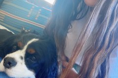 ChanceAdoptDontShop7-23-2020