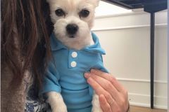 FrankieZoomAttire4-2-2020