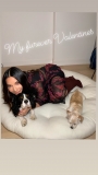 oliviamunn_85004609_191916231870923_7098346059913952302_n