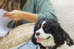 NewProject10-29-2020