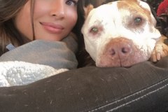 RiseMovent10-24-2020