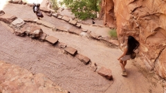 oliviamunn_83728728_199365241464668_8354279385446371546_n