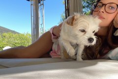 TieDyeNDogs5-20-2020