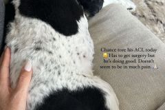 ChanceTornACL7-21-2023