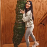 90c2f06a-1147-4b70-8d31-dc7c50e27120_1762278214